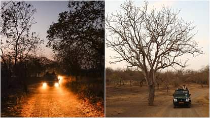 PM Narendra Modi takes lion safari in Gir forest in Gujarat See Photos