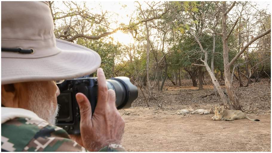 PM Narendra Modi takes lion safari in Gir forest in Gujarat See Photos