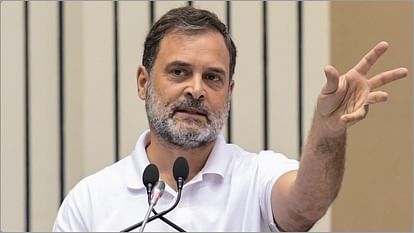 यूपी: राहुल गांधी की नागरिकता का मुद्दा उठाने वाले ने खुद की जान को बताया खतरा, कोर्ट ने कहा- सुरक्षा दे सरकार UP: The person who raised the issue of Rahul Gandhi's citizenship said that his life was in danger, the court