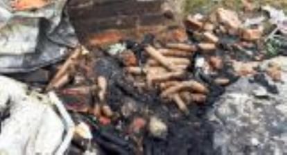 Tragic Fire in Agra: E-Scooter Charging Explosion Claims Lives of Elderly Couple